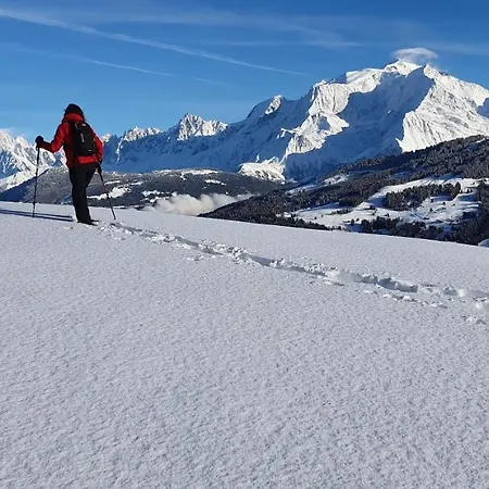 Hotel Alp-hôtel Megève