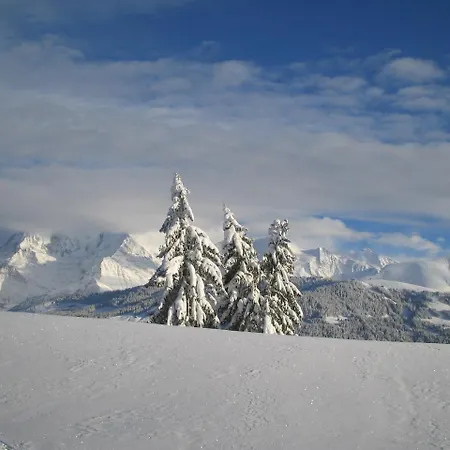 Alp-hôtel 2* Megève