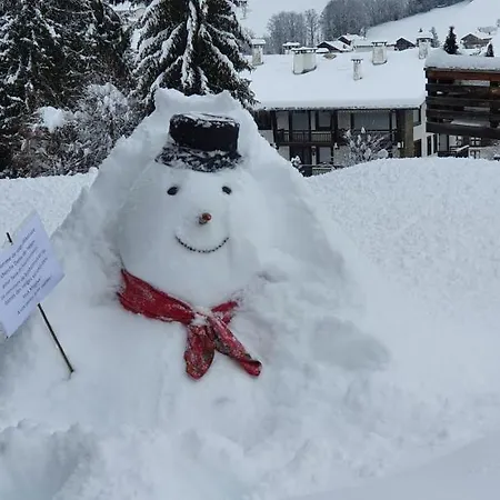 Hotel Alp-hotel 2*