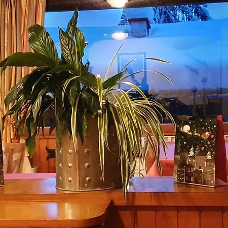 Ξενοδοχείο Alp-hotel 2*